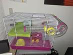 Hamsterkooi, Dieren en Toebehoren, Knaagdieren en Konijnen | Hokken en Kooien, Minder dan 60 cm, Kooi, Minder dan 75 cm, Ophalen of Verzenden