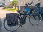 Pegasus 26 inch, Fietsen en Brommers, Fietsen | Jongens, Ophalen, Gebruikt, 26 inch of meer