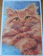 voor het kind - poezen - onze rooie - red tabby pers - 1976, Verzamelen, Ansichtkaarten | Themakaarten, Verzenden, 1960 tot 1980