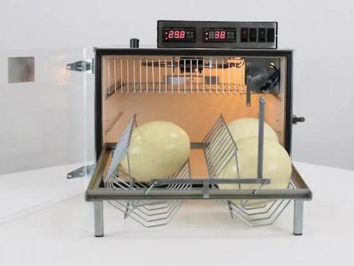 MS Broedmachine speciaal voor Struisvogels- Nandoe etc., Dieren en Toebehoren, Pluimvee