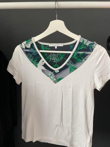 Xandres t-shirt beschikbaar voor biedingen