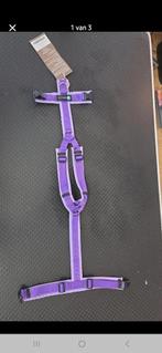 NIEUW Anny-X tuig maat S paars, Dieren en Toebehoren, Ophalen of Verzenden, Nieuw