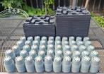 P6 Te Koop, Tuin en Terras, Kweekspullen, Ophalen of Verzenden, Zo goed als nieuw, Kweeklamp