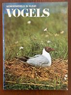 Wonderwereld in kleur vogels, Meerdere dieren, Overige soorten