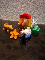 Duplo Boerderijdieren 10522, Ophalen of Verzenden, Zo goed als nieuw, Complete set, Duplo
