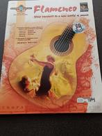 Bladmuziek, Gitaar, Wereldmuziek, Les of Cursus, Ophalen of Verzenden