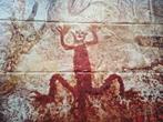 Poster Aboriginal Art 250 x 200 cm afwasbaar., Ophalen, Zo goed als nieuw, Rechthoekig Staand, Dier of Natuur