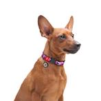 WAUDOG Pink Camo Nylon Halsband S Nekomtrek 24-40 cm -35%!!!, Ophalen of Verzenden, Nieuw
