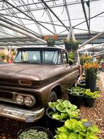 Chevrolet Oldtimer Pickup USA huren – CHEVY huren!, Verzenden, Gebruikt, Overige