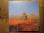 The Maccabees Given To The Wild (2LP Orange), Ophalen of Verzenden, Zo goed als nieuw, 12 inch