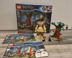 Lego Harry Potter - 75967 - Het Verboden Bos, Kinderen en Baby's, Speelgoed | Duplo en Lego, Ophalen of Verzenden, Gebruikt, Complete set