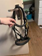 Stang en trens hoofdstel maat cob, Dieren en Toebehoren, Paarden en Pony's | Hoofdstellen en Tuigage, Ophalen of Verzenden, Zo goed als nieuw