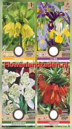 Bloembollen - Diverse Soorten, Ophalen of Verzenden, Najaar, Volle zon, Bloembol