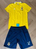 Fenerbahçe voetbalkleding, Sport en Fitness, Voetbal, Verzenden, Zo goed als nieuw