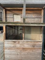 Te koop een mooie grote duivenhok., Dieren en Toebehoren, Vogels | Duiven, Mannelijk, Postduif
