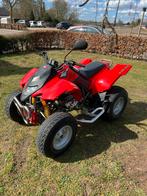 Derbi drx 250cc, Motoren, 2 cilinders, 250 cc, 12 t/m 35 kW