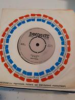 Amen corner 7 inch hello susie, Ophalen of Verzenden, Zo goed als nieuw, Pop