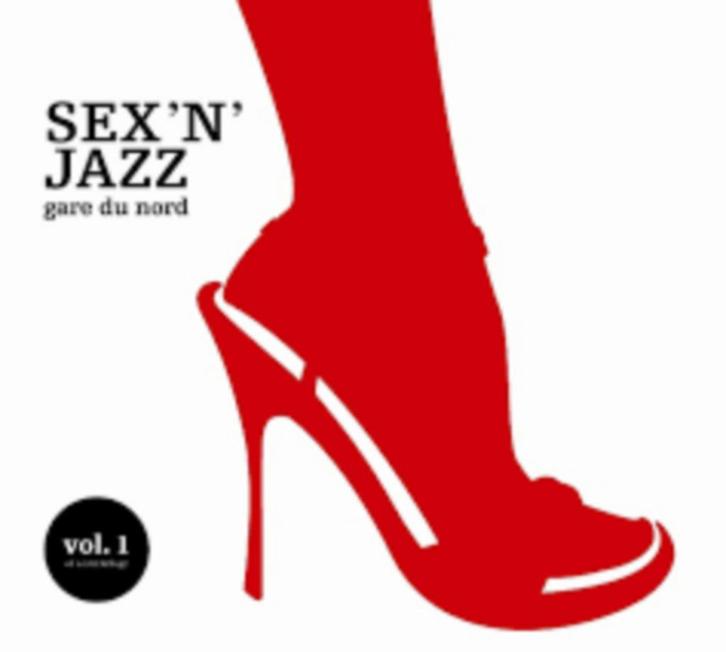 Gare du Nord, Cd's en Dvd's, Cd's | Dance en House, Gebruikt, Ophalen of Verzenden