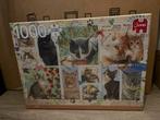 Jumbo Katten Puzzel 1000 Stukjes - Nieuw!, Hobby en Vrije tijd, Ophalen of Verzenden, Nieuw, Legpuzzel