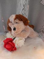 Adv 24 steiff hondje floppy cockie, Ophalen of Verzenden