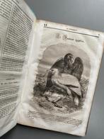 La Mosaïque derde jaargang 1835-1836 / Frans