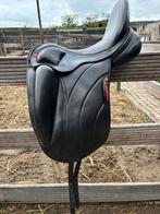 Albion revelation, Dieren en Toebehoren, Ophalen, Gebruikt, Dressuur