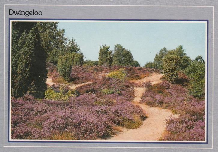 DWINGELOO Heide, Verzamelen, Ansichtkaarten | Nederland, Ongelopen, Drenthe, 1980 tot heden, Verzenden