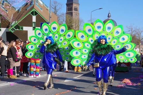 Pauwenveren  2 stuks, Kleding | Dames, Carnavalskleding en Feestkleding, Zo goed als nieuw, Accessoires, Carnaval, Ophalen