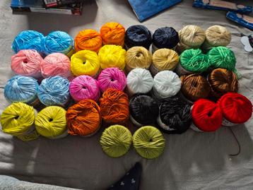 34 bollen katia madison beschikbaar voor biedingen