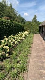 Tuinman biedt zich aan, Ophalen
