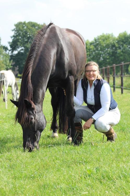 Buitenritten en meer met gediplomeerde coach en instructrice, Diensten en Vakmensen, Dieren | Paarden | Verzorging, Oppas en Les