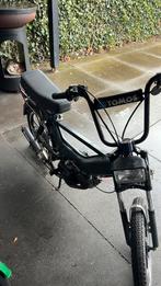 Grijze tomos a35, Ophalen, Nieuw, Standard