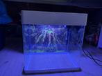 Aquarium 30L, Dieren en Toebehoren, Vissen | Aquaria en Toebehoren, Ophalen, Zo goed als nieuw, Leeg aquarium