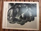 Rodin's Sculpture, Ophalen of Verzenden, Gelezen