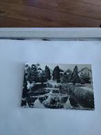 BOLSWARD. JULIANAPARK, Verzamelen, Ansichtkaarten | Themakaarten, Ophalen of Verzenden, Voor 1920, Klederdracht