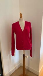 “Wollen” vest van Pauw, mt1, S, Kleding | Dames, Pauw, Verzenden, Gedragen, Maat 36 (S)