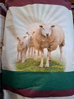 Schapenvoer, schapenbrok conditie, Dieren en Toebehoren, Schapen, Geiten en Varkens, Geslacht onbekend, Schaap