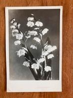 Ongelopen Vintage ansichtkaart met Lelietjes-van-dalen., Verzamelen, Ophalen of Verzenden, 1940 tot 1960, Ongelopen, Natuur