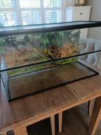 Reptielen of hamster terrarium met plateaus, Ophalen, Zo goed als nieuw, Terrarium of Paludarium