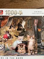King Puzzel - Kittens in the Barn - 1000 stukjes, Ophalen of Verzenden, 500 t/m 1500 stukjes, Zo goed als nieuw, Legpuzzel