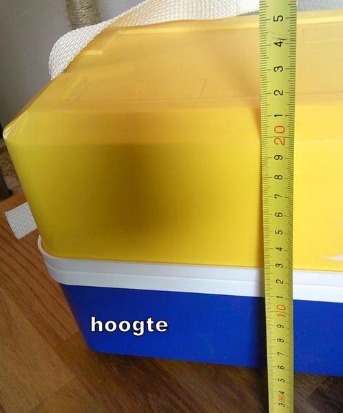 Flair Beebop koelbox geel/blauw met draagband+koelelement, Caravans en Kamperen, Koelboxen, Gebruikt, Koelbox, Koelelement, Ophalen of Verzenden