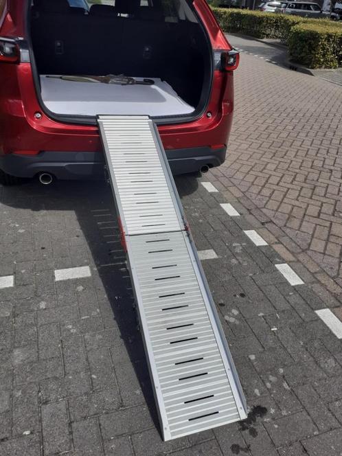 loopplank te koop, Dieren en Toebehoren, Honden-accessoires, Zo goed als nieuw, Ophalen of Verzenden