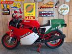 DUCATI 750 F1 (bj 1990), 2 cilinders, Bedrijf, Super Sport, Meer dan 35 kW