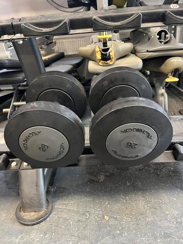 2 x 26 lg technogym dumbells dumbell set gewichten beschikbaar voor biedingen