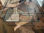 Hele complete hamsterkooi, Dieren en Toebehoren, Knaagdieren en Konijnen | Hokken en Kooien, Kooi, Minder dan 75 cm, Zo goed als nieuw