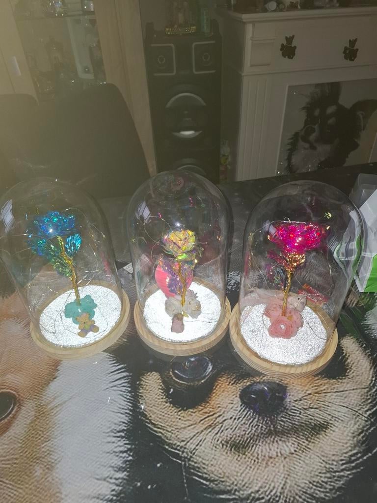 Decoratieve Roos in Glazen Stolp met LED Verlichting, Nieuw, Ophalen of Verzenden, Crème, Kunststof