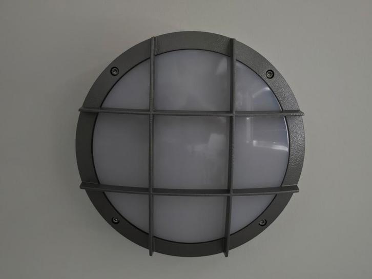 Buitenlamp/Binnenlamp wand of plafond, Tuin en Terras, Buitenverlichting, Wandlamp, Minder dan 50 watt, Netvoeding, Ophalen of Verzenden