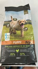 Pyppy brokken, Ophalen of Verzenden, Hond