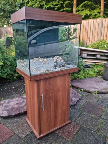COMPLEET Juwel aquarium inclusief meubel toebehoren
 beschikbaar voor biedingen