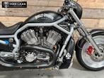 Dikke HARLEY-DAVIDSON VRSCA VROD, 2 cilinders, Bedrijf, Meer dan 35 kW, Overig